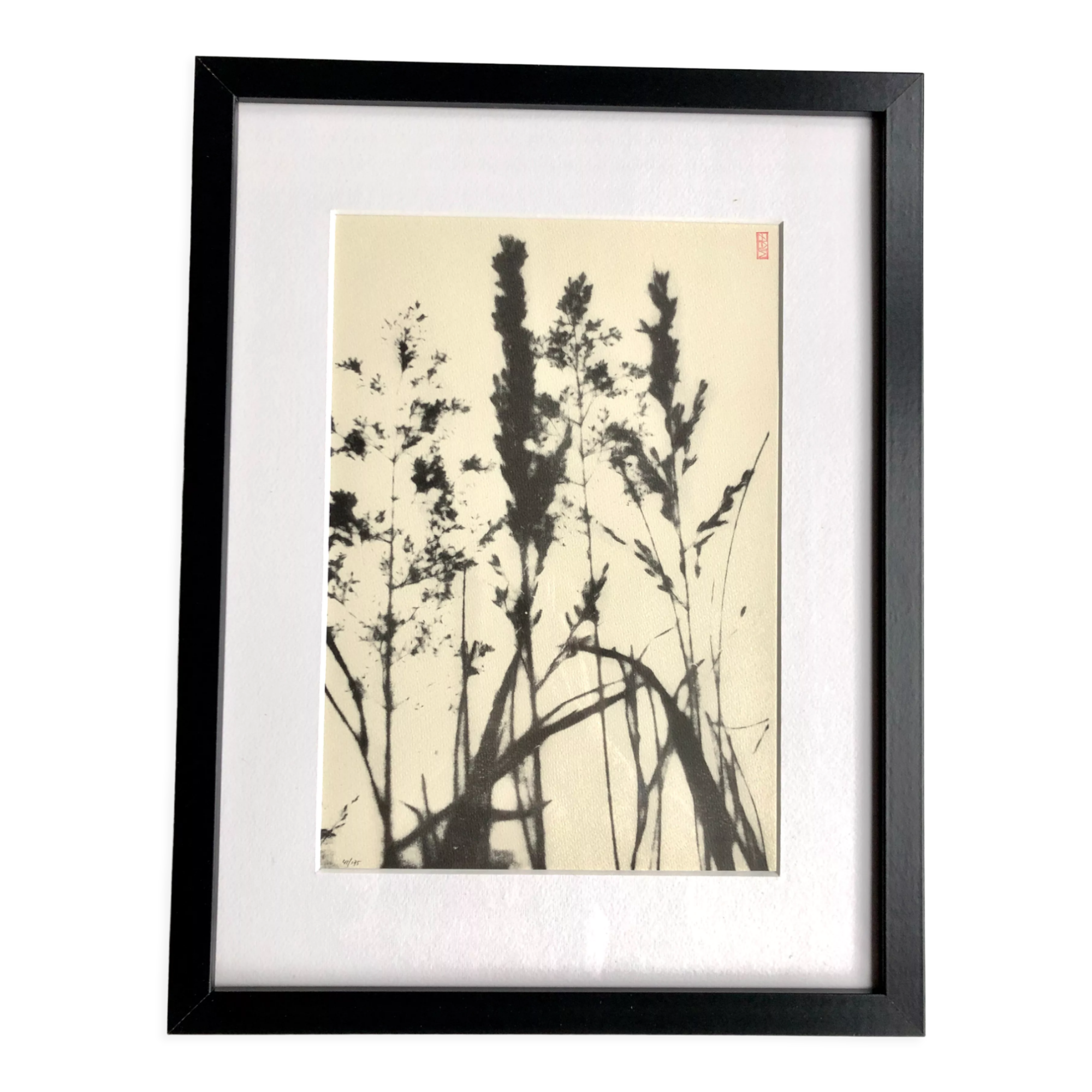 Framed lithograph - extract from the notebook "Les Natugraphies" - Albert de Visscher