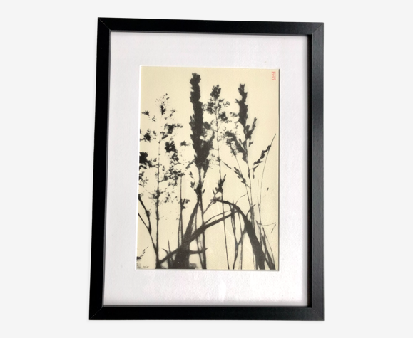 Framed lithograph - extract from the notebook "Les Natugraphies" - Albert de Visscher