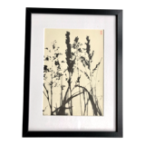 Framed lithograph - extract from the notebook "Les Natugraphies" - Albert de Visscher