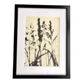 Framed lithograph - extract from the notebook "Les Natugraphies" - Albert de Visscher