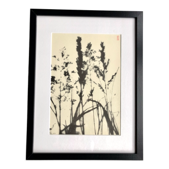 Framed lithograph - extract from the notebook "Les Natugraphies" - Albert de Visscher