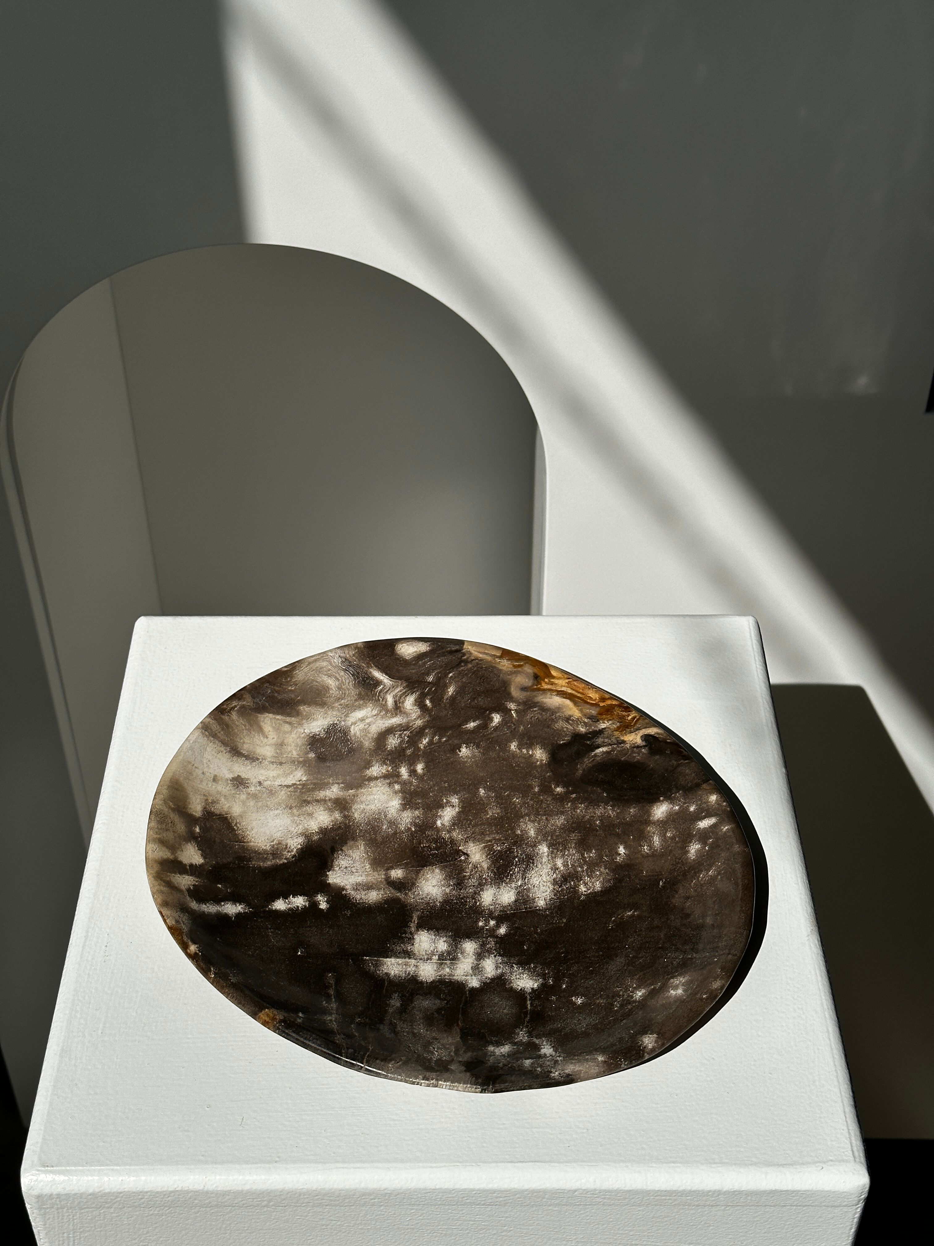 Dish in petrified wood