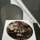 Dish in petrified wood