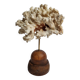 Antique ornamental coral Acropora on solid wood base, 16 cm