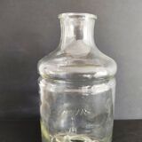 Flies and wasps gap early 20th