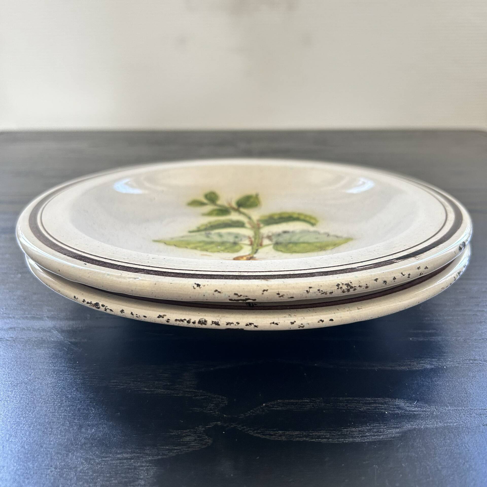 Collection de 2 plats botaniques made in Italy