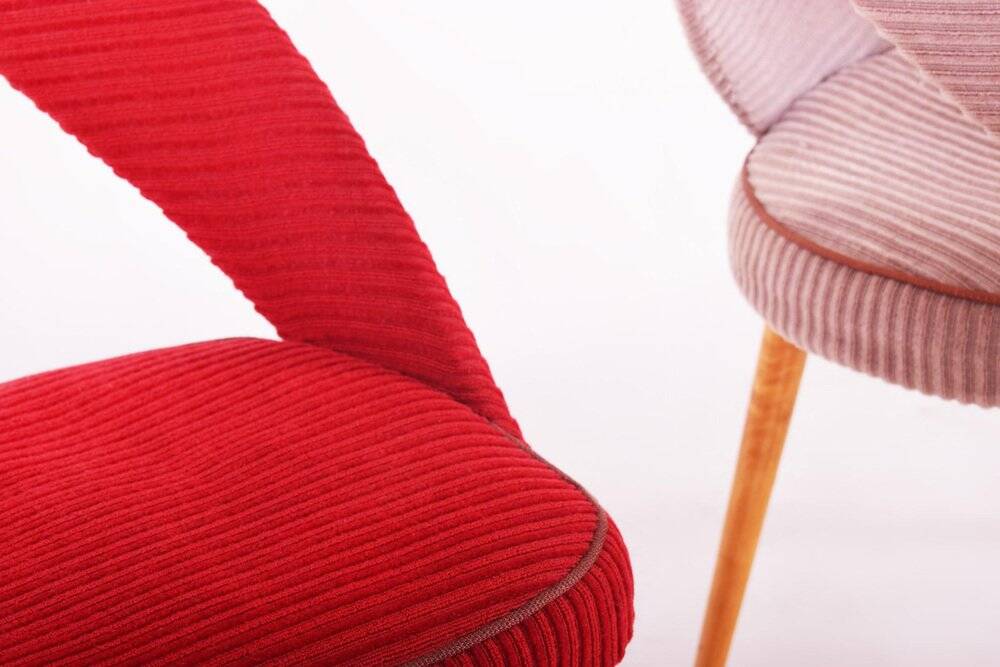 Chaises Mid-Century en hêtre, tchèque, années 1950, ensemble de 4
