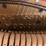 Schimmel study piano