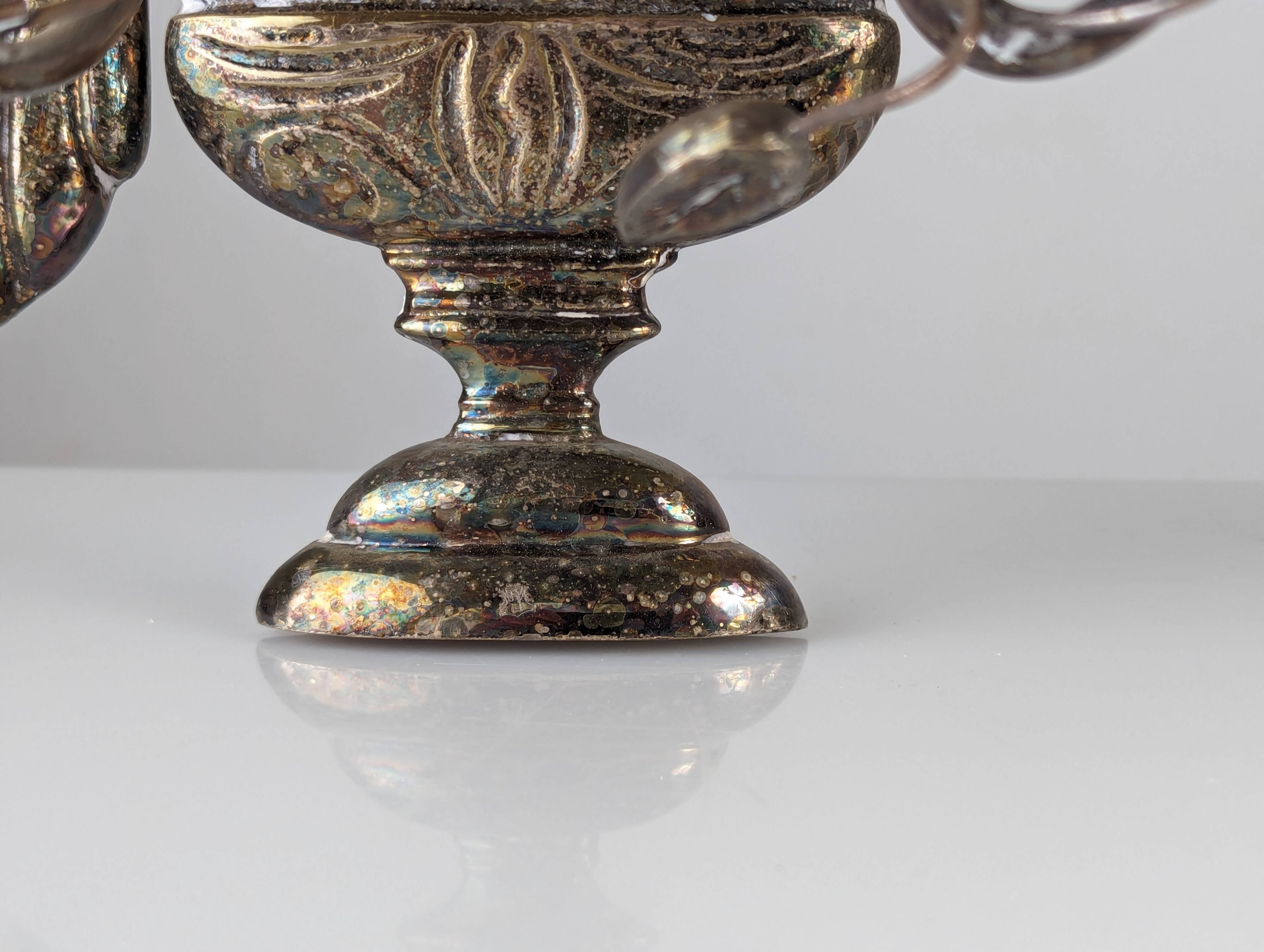 Pair of wall sconces with parrots and leaves