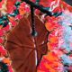 Presentation plate / sheet / Vallauris