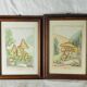 Pair of colorized mycological lithographs - Coprinus comatus, Psalliotta arvensis - 70s
