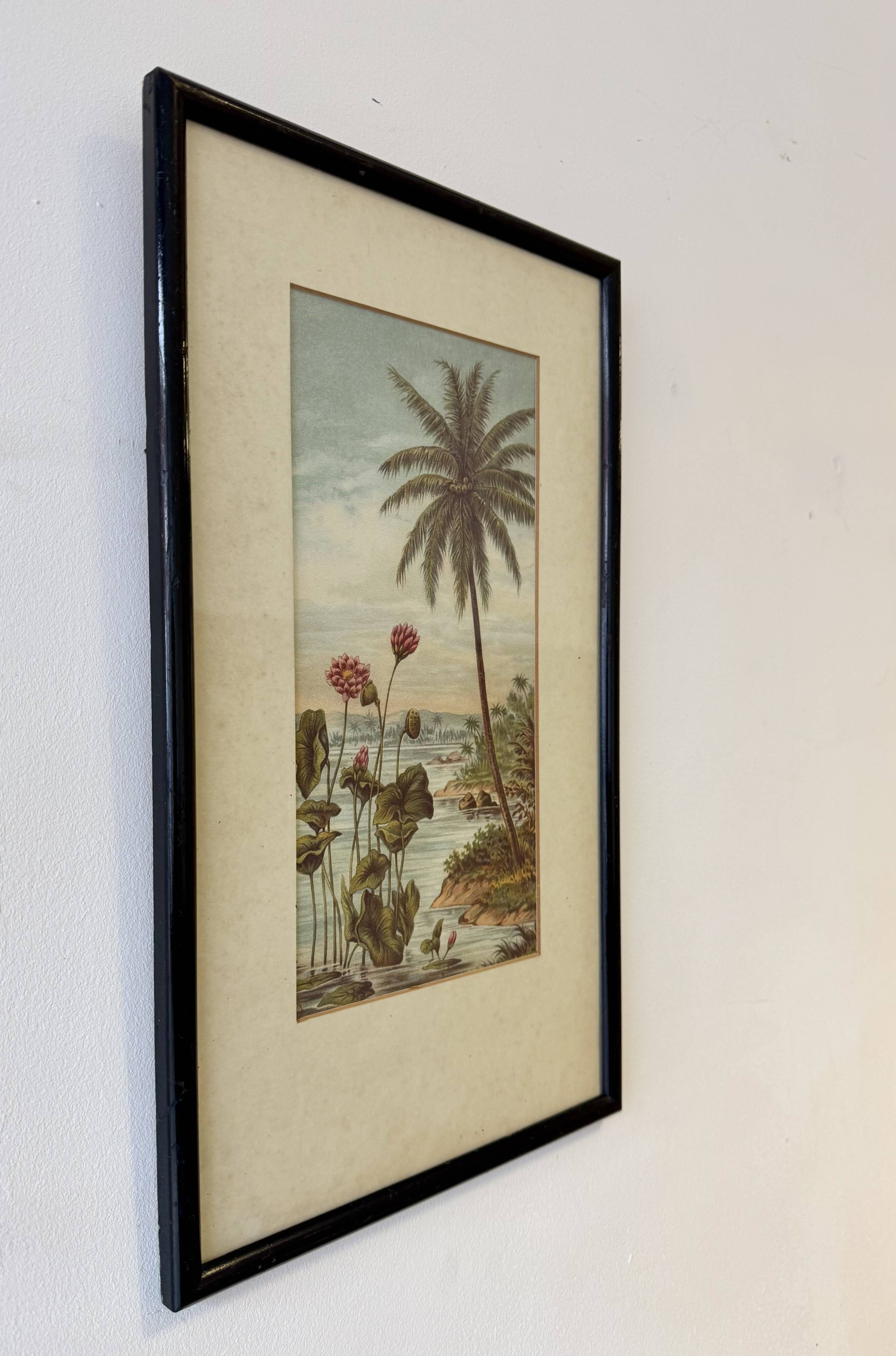 Vintage Print of Lotus Flower and Palm Tree Black Frame