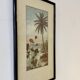 Vintage Print of Lotus Flower and Palm Tree Black Frame