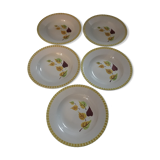Set of 5 hollow plates sarreguemines /digoin