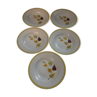 Set of 5 hollow plates sarreguemines /digoin