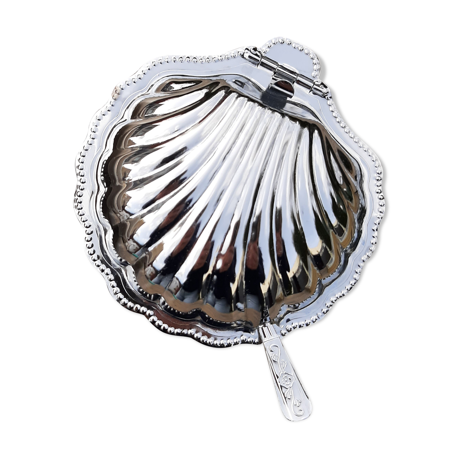 Beurrier coquille St Jacques