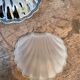 Butter shellfish