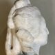 Marie Antoinette, bust in Carrara marble