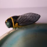 Vallauris ashtray or pocket-empty