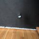 Sentou Coogee rare edition sofa
