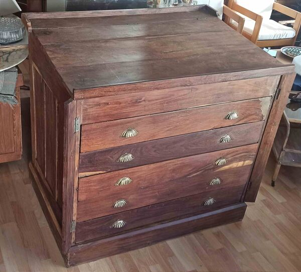 Meuble à cartes Compagnie des Indes anglaises 19e siècle Largeur 122 cm