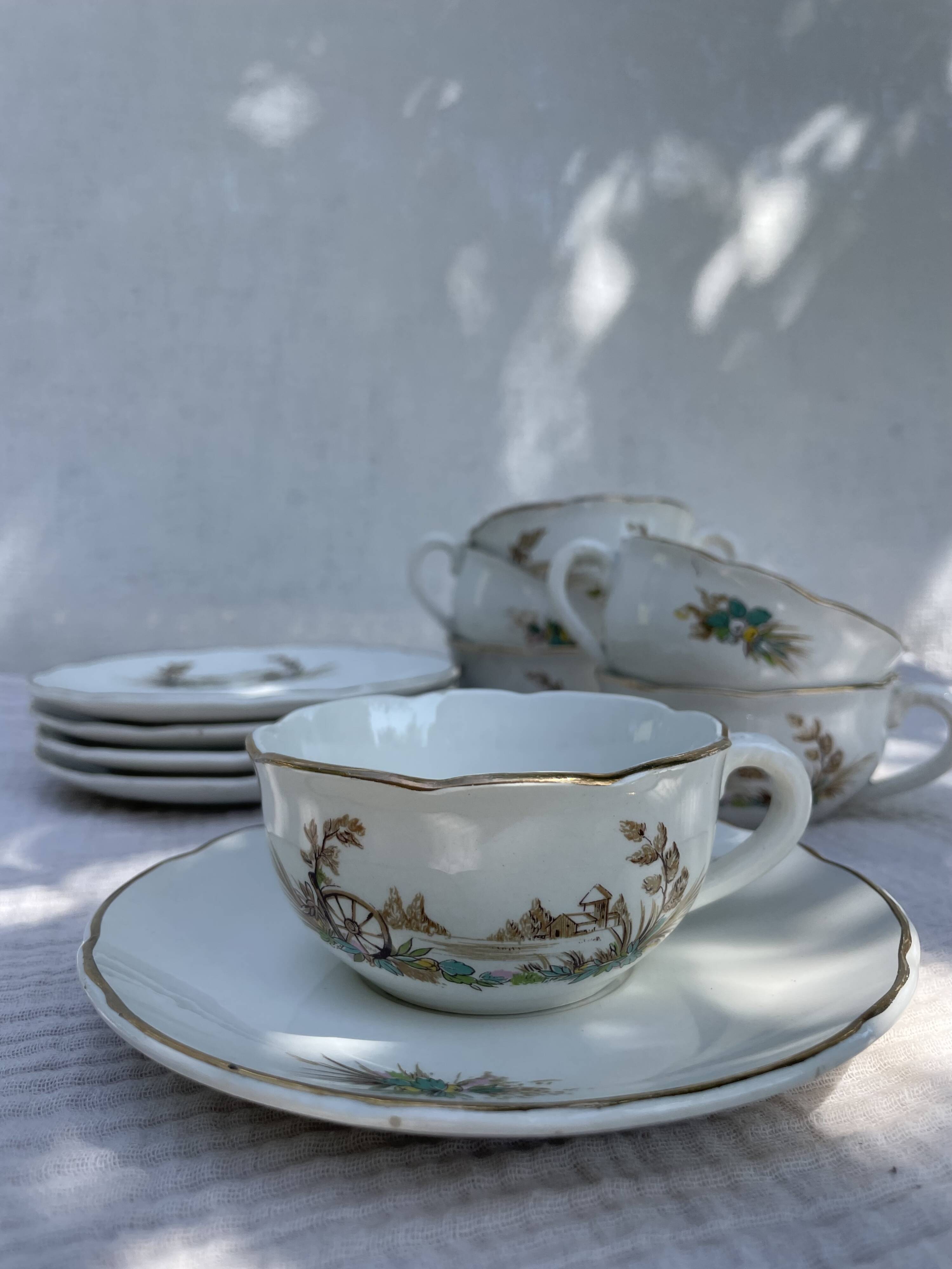 Vintage set of 5 porcelain plates and 5 cups – Digoin Sarreguemines