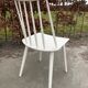 Vintage dining chair model 216 by Farstrup Mobelfabrik, Denmark 1960-1969