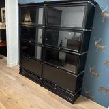Black Globe Wernicke Bookcase