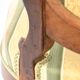 Louis Philippe style chair