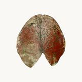 A ceramic lamp in the shape of a leaf.