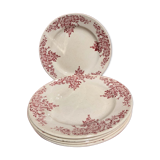 Set of 5 flat plates Iron Earth
