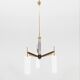 Stilnovo chandelier with 3 glass shades, Italy 1960
