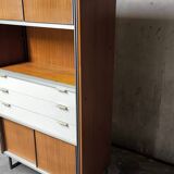 Vintage EFA bookcase and shelves by Georges Frydman