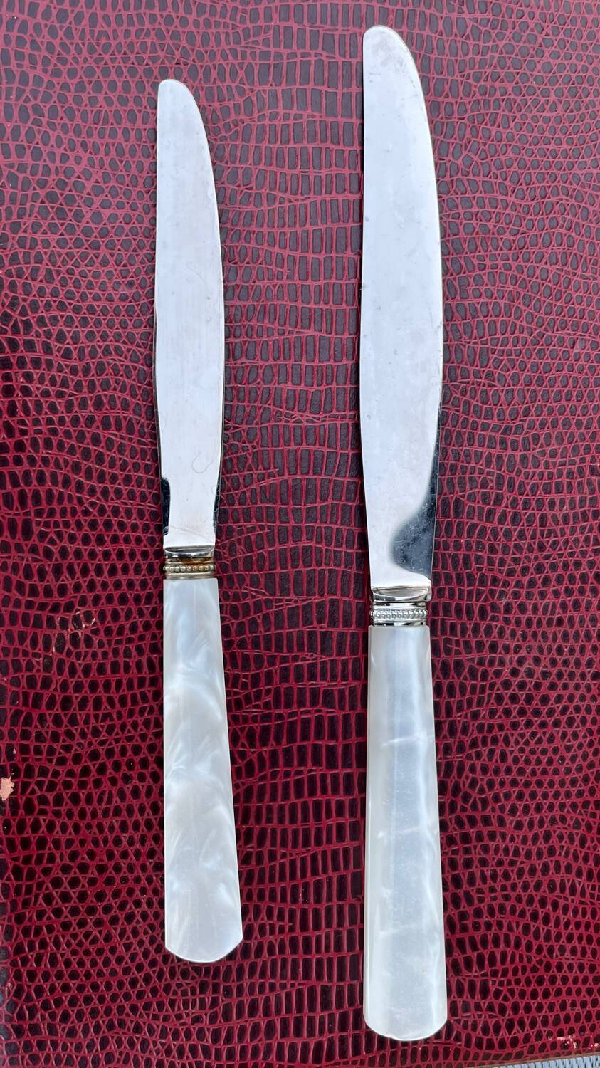 Box of 10 table knives and 10 cheese knives