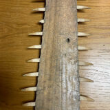 Old sawfish rostrum