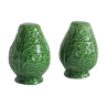 Salt and pepper shaker slurry cabbage leaves