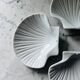 Set of 4 shell-shaped bowls