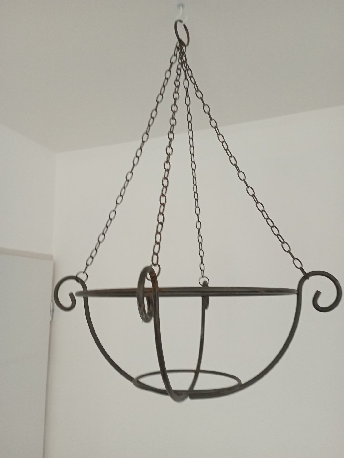 Hanging plant holder