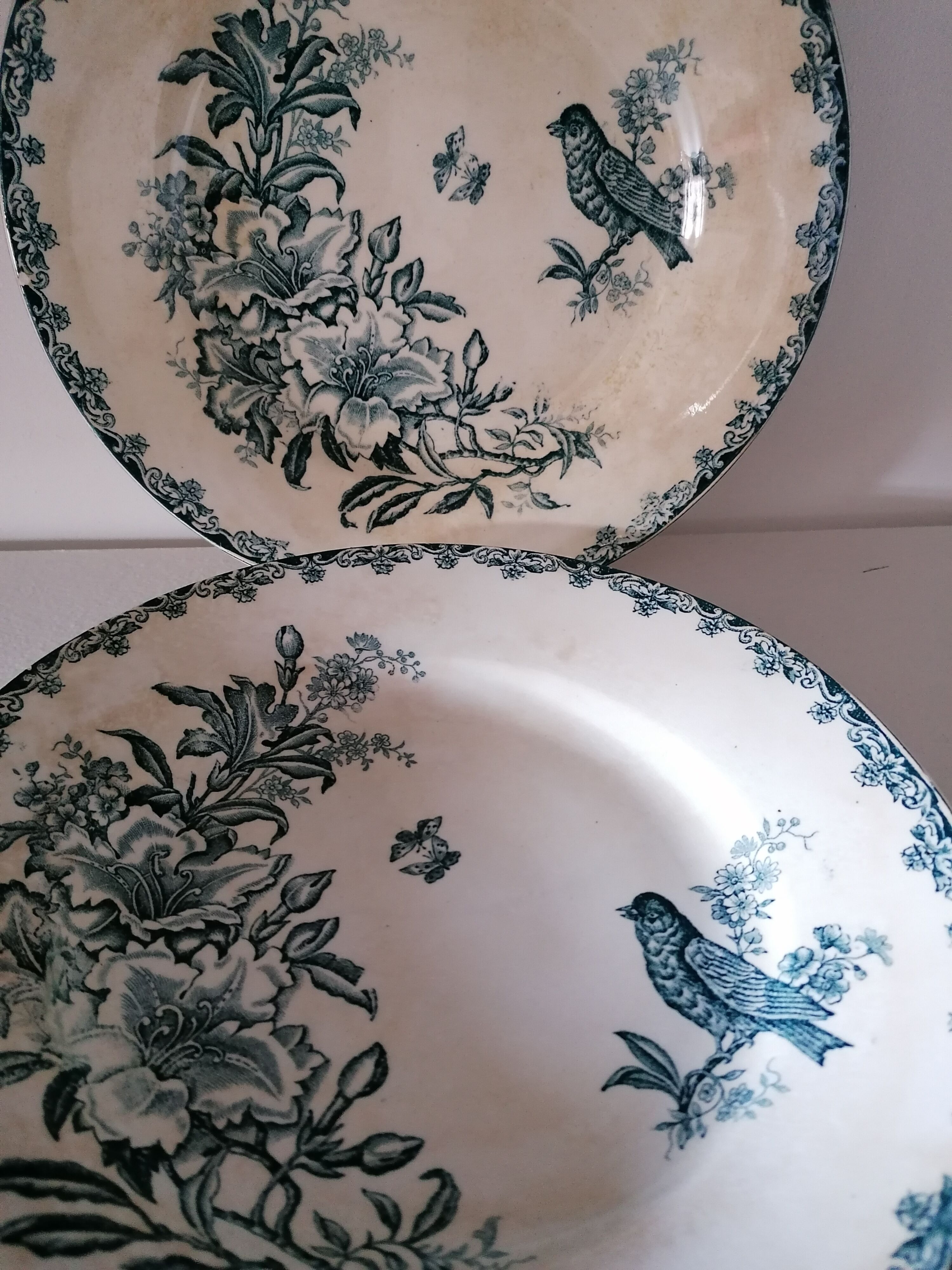 Pair of plates Iron Land model Bengali