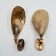 Pair of Bronze Mussel Shell Maison Jansen style Sconces -(2 pairs avail