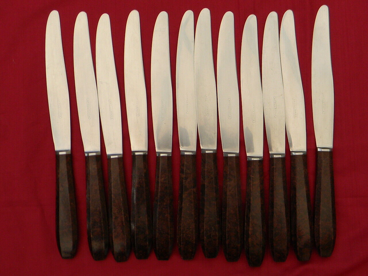 Lot de 12 couteaux Apollonox lame inox manche bakélite.