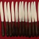 Lot de 12 couteaux Apollonox lame inox manche bakélite.