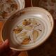 Four bowl-shaped plates in vintage Niderviller stoneware with plant decoration