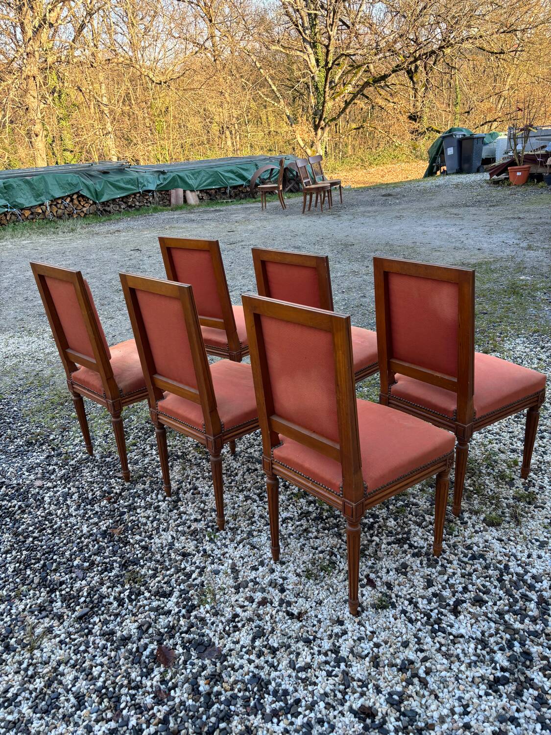 Louis XVI style chairs