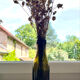 Set of 4 vintage bottle vases