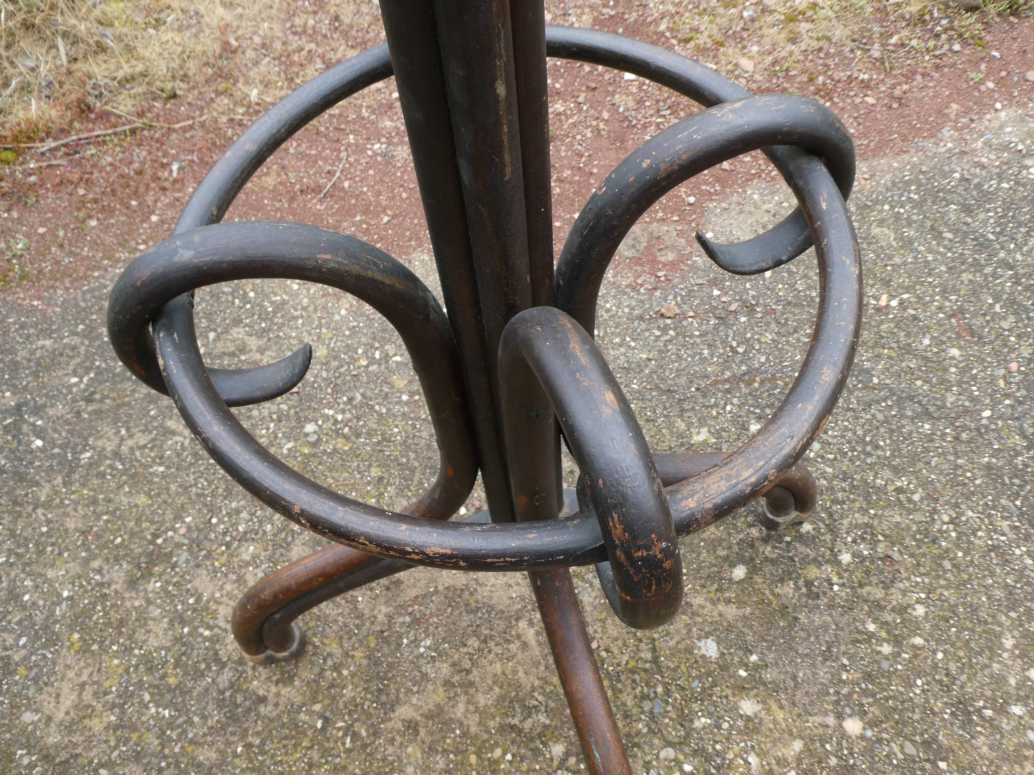 Parrot coat holder in curved wood - Art Nouveau