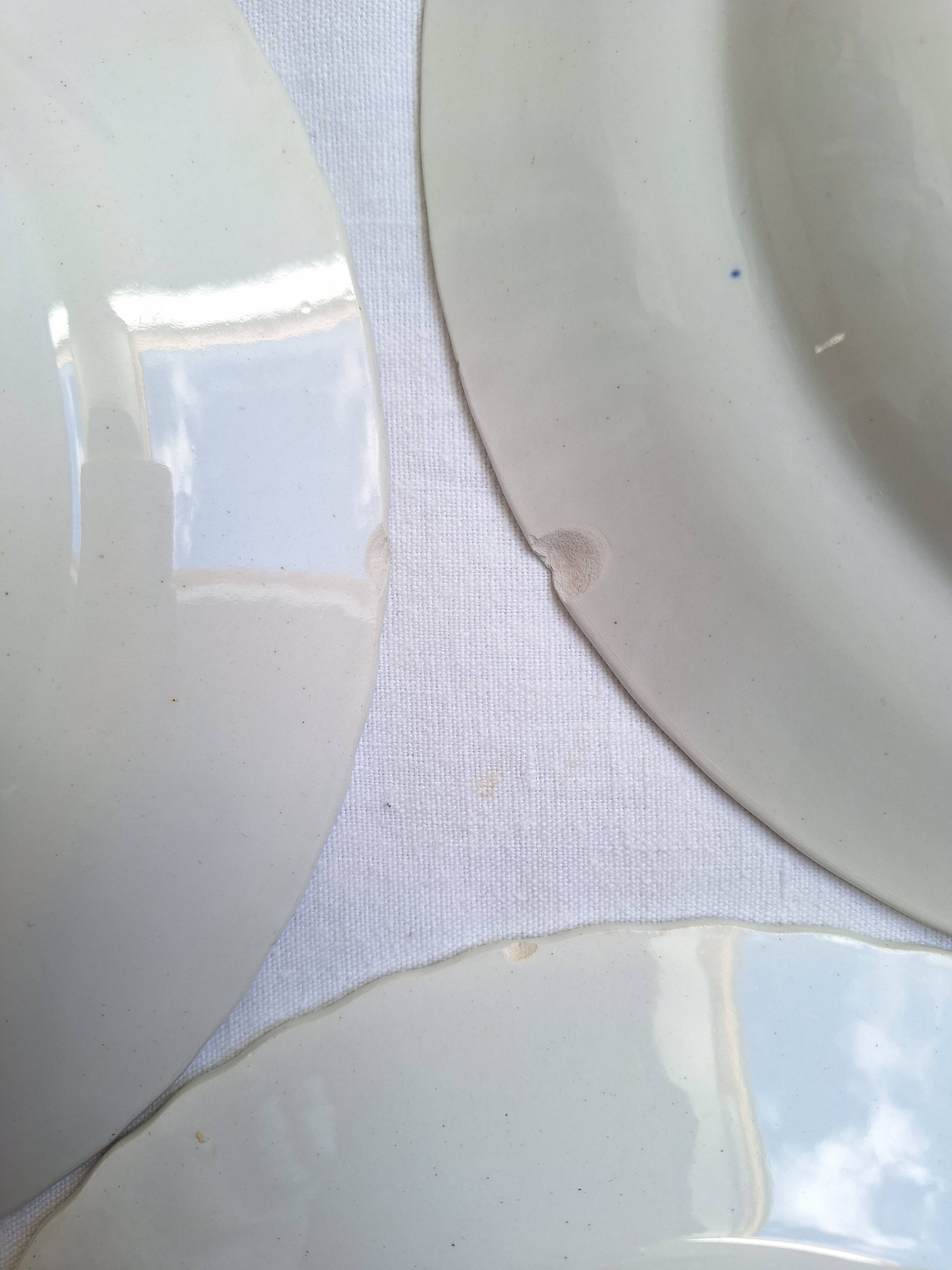 10 Amandinoise soup plates with blue oak leaves