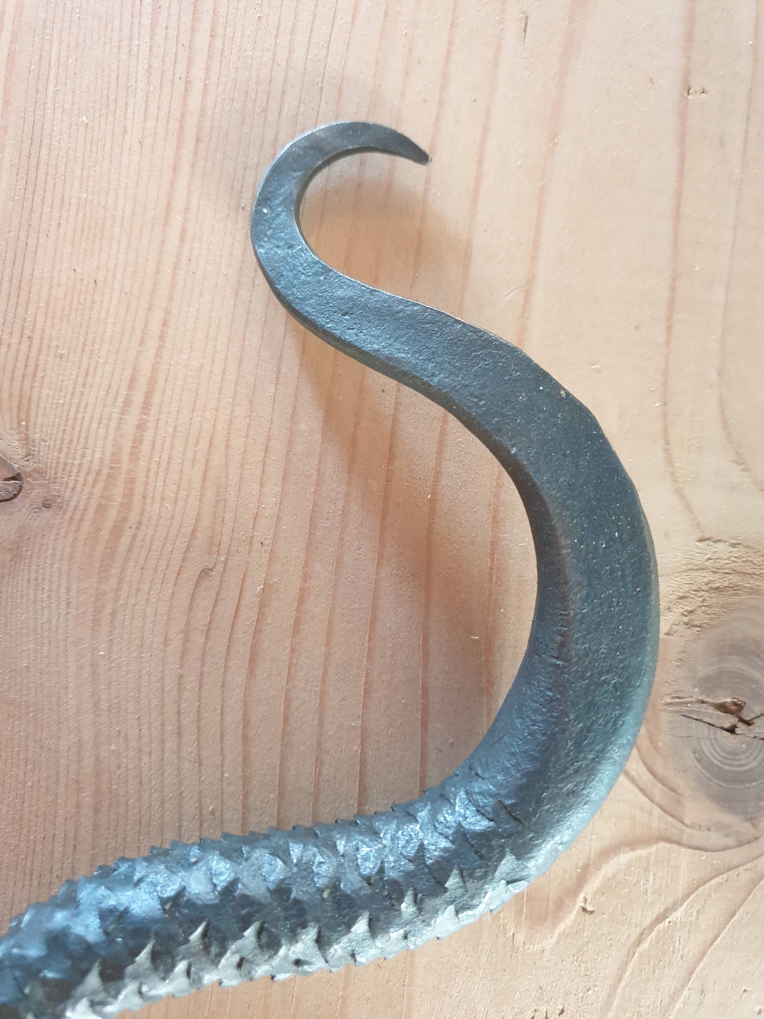 Serpent rappe a bois