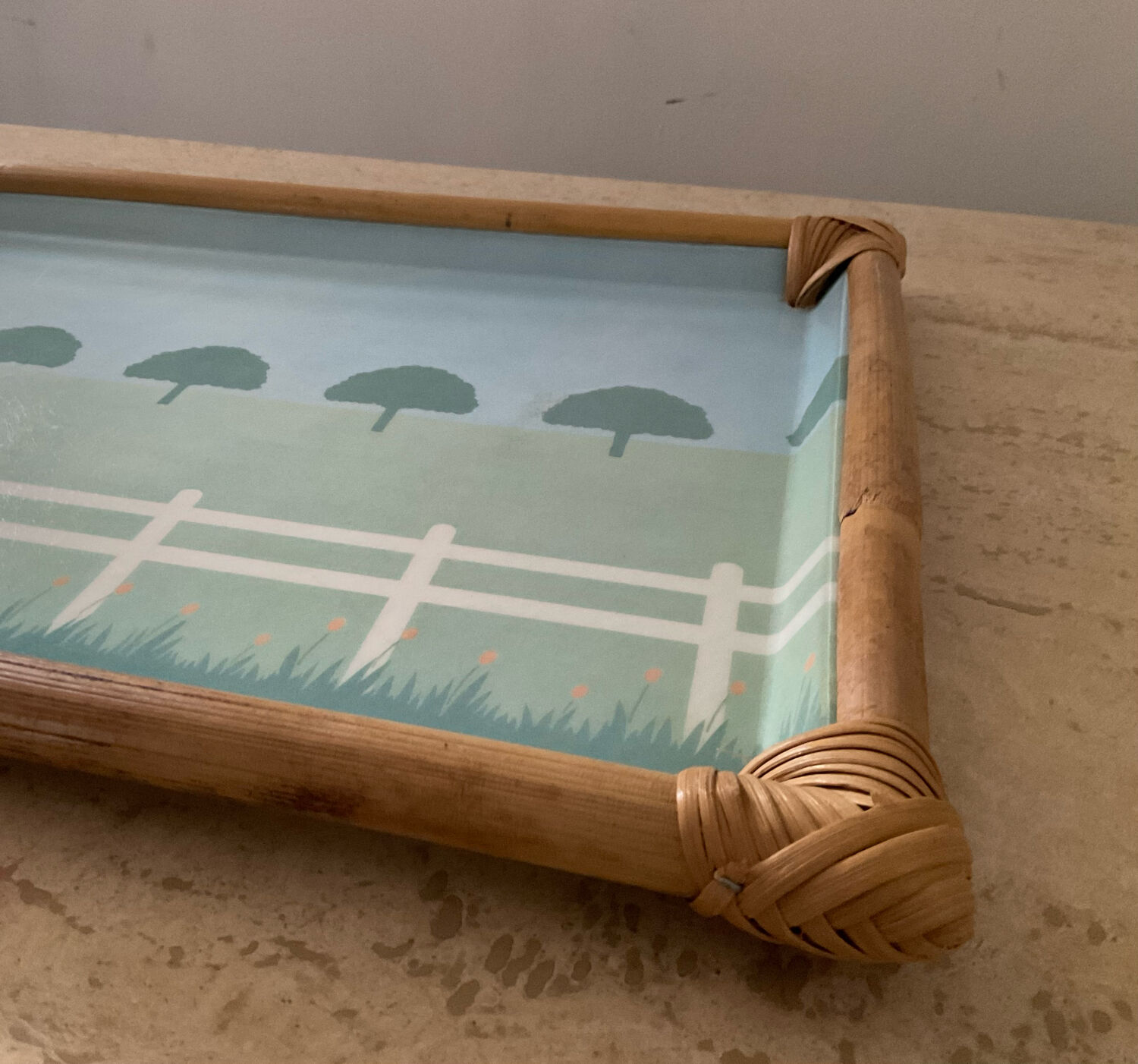 Vintage alpac tray in fiberglass and rattan