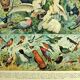 Old lithograph 1928 A. Millot - Birds 1, ornithology, birds